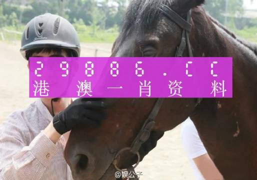 澳门一肖一码一必中一肖精华区，最新解答解释落实_3DM11.59.64