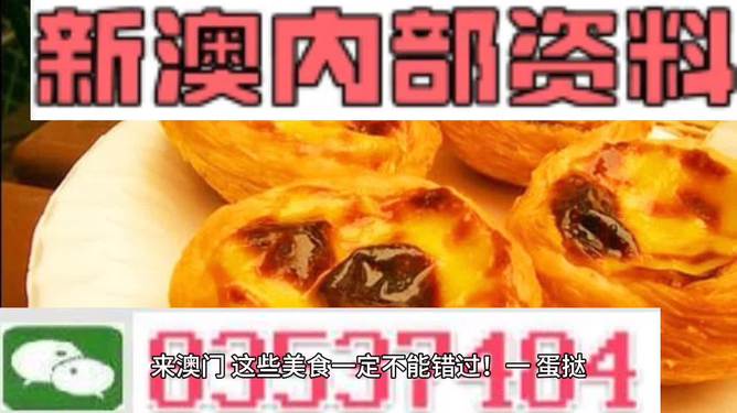 2024年澳门正版资料大全公开，完美解答解释落实_VIP99.52.28