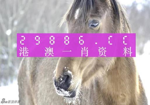 澳码精准100一肖一码最准肖，完美解答解释落实_3D53.79.91
