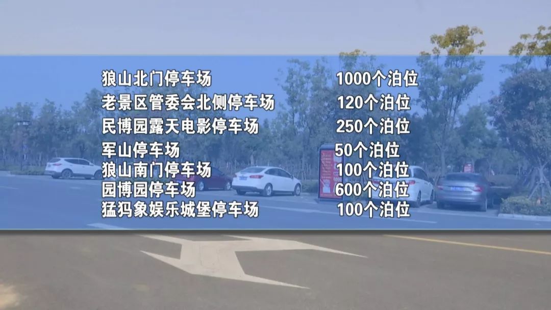 新奥门2024年资料大全官家婆，最新解答解释落实_3D79.29.51