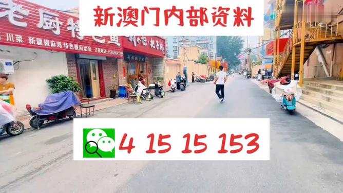 2024新澳门天天开好彩大全，重点解答解释落实_3D93.59.60