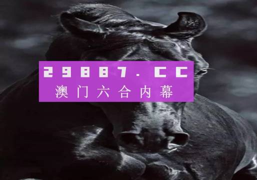 新澳门开奖结果2024开奖记录，完美解答解释落实_The41.28.26