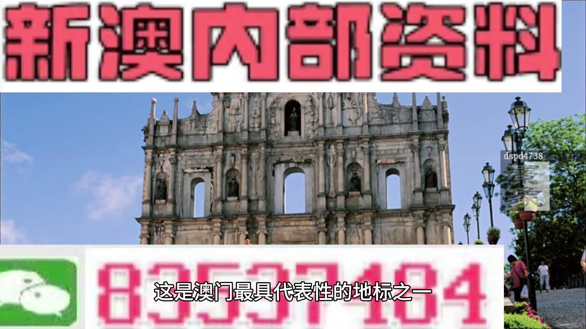 2004新澳精准资料免费提供，最新解答解释落实_iPhone97.69.36